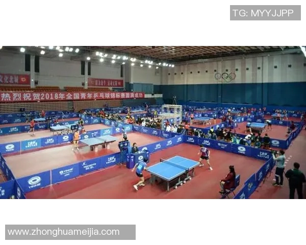 成都乒乓球队在全国锦标赛中的耐力表现分析与总结